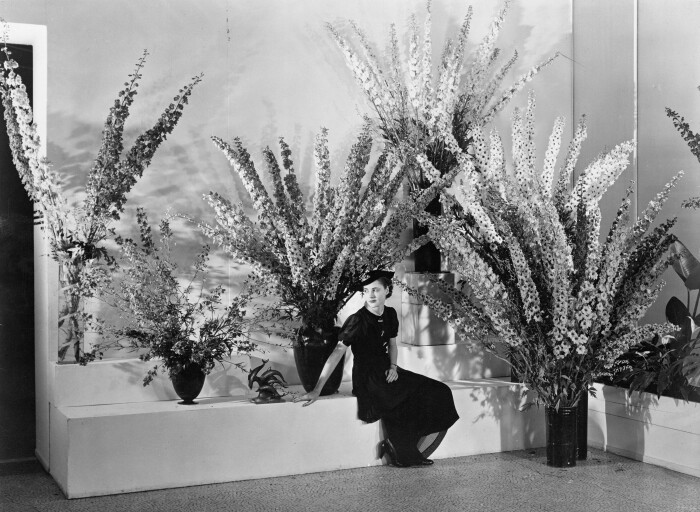 02_sbd_delphinium_scala_0148978
