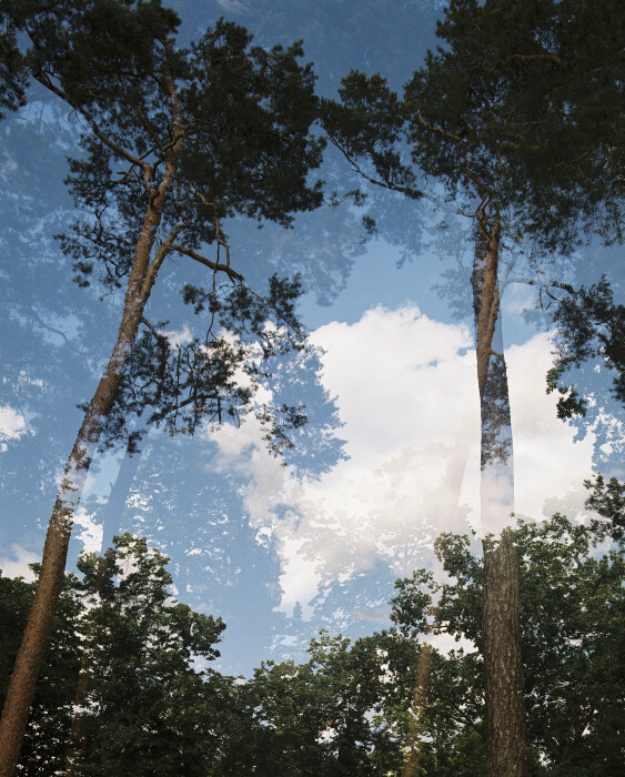 01_Hoppe_Doppelbelichtung