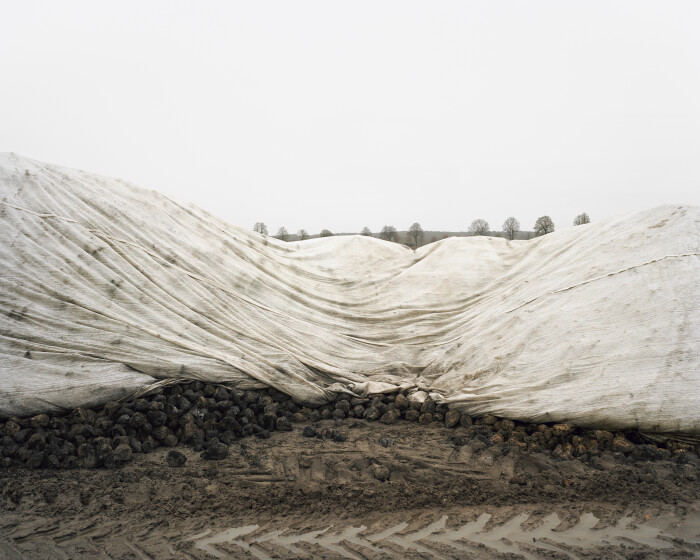 MdbK_Schink_Bei Bredenfelde